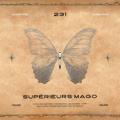 Logo saluran telegram superieursmago — Supérieurs Mago.