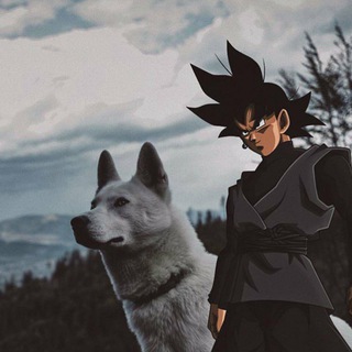 Telgraf kanalının logosu supreise — Kripto surprise