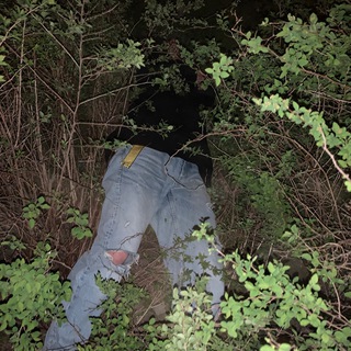 Логотип телеграм канала @supwasup — WhatSupSam•