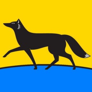 Логотип телеграм канала @surgut86official — Что там по Сургуту?