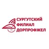 Логотип телеграм канала @surgutdorprof — Сургутский филиал Дорпрофжел на СВЖД