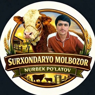 Telegram kanalining logotibi surxon_chorvauz — NURBEK POʻLATOV