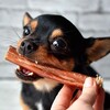 Логотип телеграм канала @sushenie_lakomstva — ВкусноКусь 🐕 - сушеные лакомства для собак