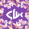 Логотип телеграм канала @sushishefvolgodonsk — Суши Шеф | Волгодонск | Доставка пиццы, роллов