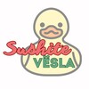 Логотип телеграм канала @sushite_vesla — 🛟 sushite vësla 🛟