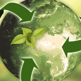 Logo del canale telegramma sustainabilityamz - Offerte Sostenibilità e natura