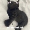 Логотип телеграм канала @sutystend — SutyPSIH