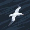 Telegram kanalining logotibi suxrobblog — Suxrob Xurramov | Blog