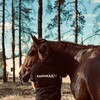 Логотип телеграм канала @sveta7777333 — S🐈‍⬛🥷🏻
