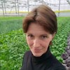 Логотип телеграм канала @svetagroinfo — Светлана Пуронен️️️️ | Персональный агроном
