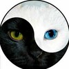 Логотип телеграм канала @svetestty — Место твоей Силы