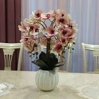 Логотип телеграм канала @svethome — Svethome🏠🌸