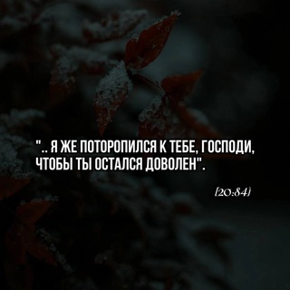 Логотип телеграм канала @svetistini1 — Свет истины