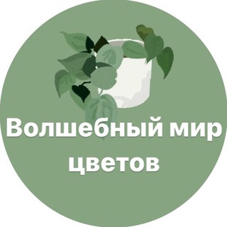 Telegram channel ВОЛШЕБНЫЙ МИР ЦВЕТОВ logo