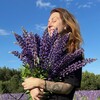 Логотип телеграм канала @svetlanabarboza — 📝 Ежедневник Светланы Лего