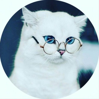 Логотип телеграм канала @svetlie_slova — Светлые Слова
