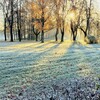 Логотип телеграм канала @svetlitsaproart — Красота в глазах смотрящего