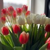Логотип телеграм канала @svetozarova_palata — Палата Светозаровой