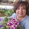 Логотип телеграм канала @svetylekfialka — Цветы (фиалки, фуксии, пеларгонии, розы и не только) от Светланы Бурняшевой