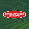 Логотип телеграм канала @svezhievl — Великолукские свежести