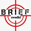 Логотип телеграм канала @svodkibrief — Сводки Brief