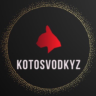 Логотип телеграм канала @svodkyz — KotoSvodkyZ