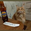 Логотип телеграм канала @svopushistiksigna — сигны постят тут!