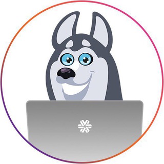 Логотип телеграм канала @sw_dzer — SW_NSK_Dzerjinsky_LIVESTORE