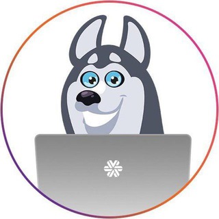 Logo of telegram channel sw_serbia_livestore — SW_Serbia_LIVESTORE🇷🇸