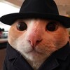 Логотип телеграм канала @swagnonher — свага