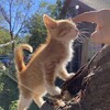 Логотип телеграм канала @swagshyne — !¡фикбукнутые.💥¡!