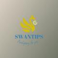 Logo saluran telegram swanbet — SWAN BET TIPS 🦢🦢