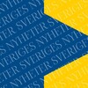 Telegram channel 🇸🇪 Шведские новости для иммигрантов и экспатов logo