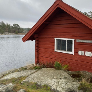 Логотип телеграм канала @swedishsyndrome — Шведский синдром