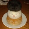 Логотип телеграм канала @sweetlalala123 — Заметки карандашом j.a