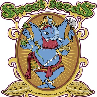 Логотип телеграм канала @sweetseeds — Sweet Seeds