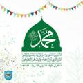 Logo saluran telegram swidoctstudent — دفعة 37B_ طب بشري_جامعة صنعاء