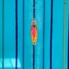 Логотип телеграм канала @swimvasilisav — SwimVasilisa