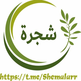 Telegram kanalining logotibi sxe_malar — 𝐒𝐇𝐀𝐉𝐀𝐑𝐀