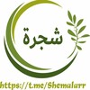 Telegram channel 𝐒𝐗𝐄𝐌𝐀𝐋𝐀𝐑 logo