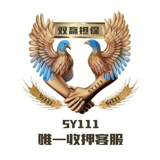 Logo saluran telegram sy_399 — 📣双赢公群列表💬