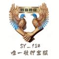 Telgraf kanalının logosu sy_397 — 双赢公群SY_124唯一客服认准id