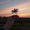Логотип телеграм канала @syl109 — someone you loved💗