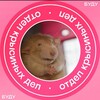 Логотип телеграм канала @symbathr — HR | Кофе и вакансии