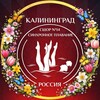 Логотип телеграм канала @synchro14kld — synchro.school14