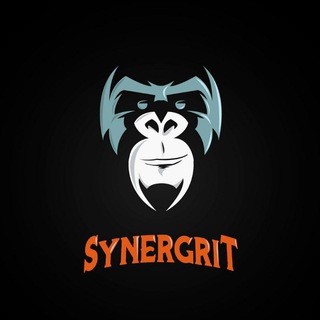 Logotipo del canal de telegramas synergrit - SynerGrit