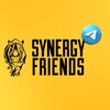Логотип телеграм канала @synergyfriends_study — Synergy Friends | «Синергия»