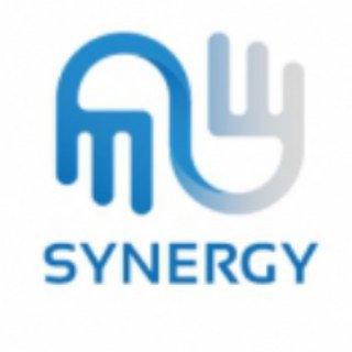 Логотип телеграм -каналу synergygolubyev — Synergy_Golubev (Голубев)