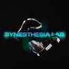 Логотип телеграм канала @synesthesialab — Синестезия лаб | Synesthesia lab