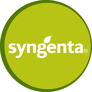 Логотип телеграм канала @syngenta_vegetables_seeds — «Сингента» — семена овощных культур